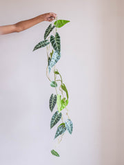 Artificial Alocasia Hanging Vine 4ft