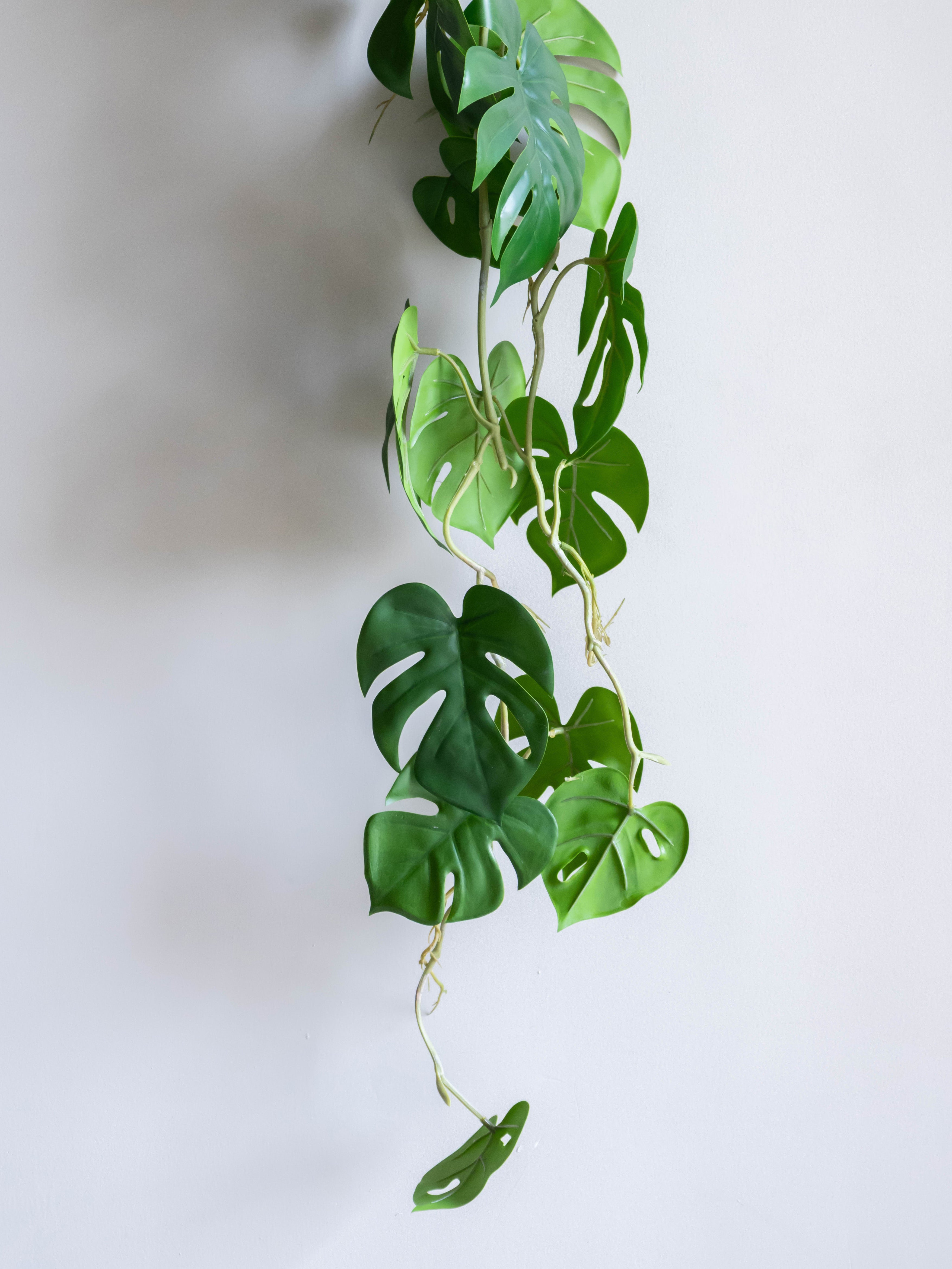 Artificial Mini Split Philodendron Hanging Vine 4ft