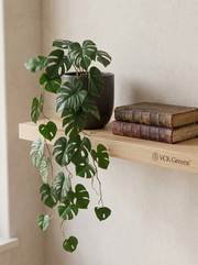 Artificial Mini Split Philodendron Hanging Vine 4ft