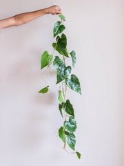 Artificial Emerald Cascade Vine 4ft