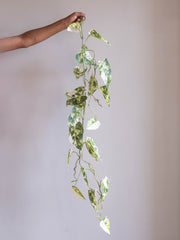 Artificial Ivory Trail Vine 4ft
