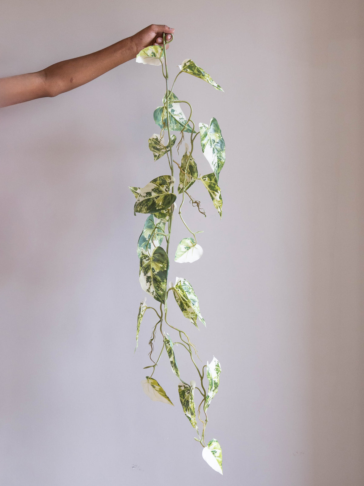 Artificial Ivory Trail Vine 4ft