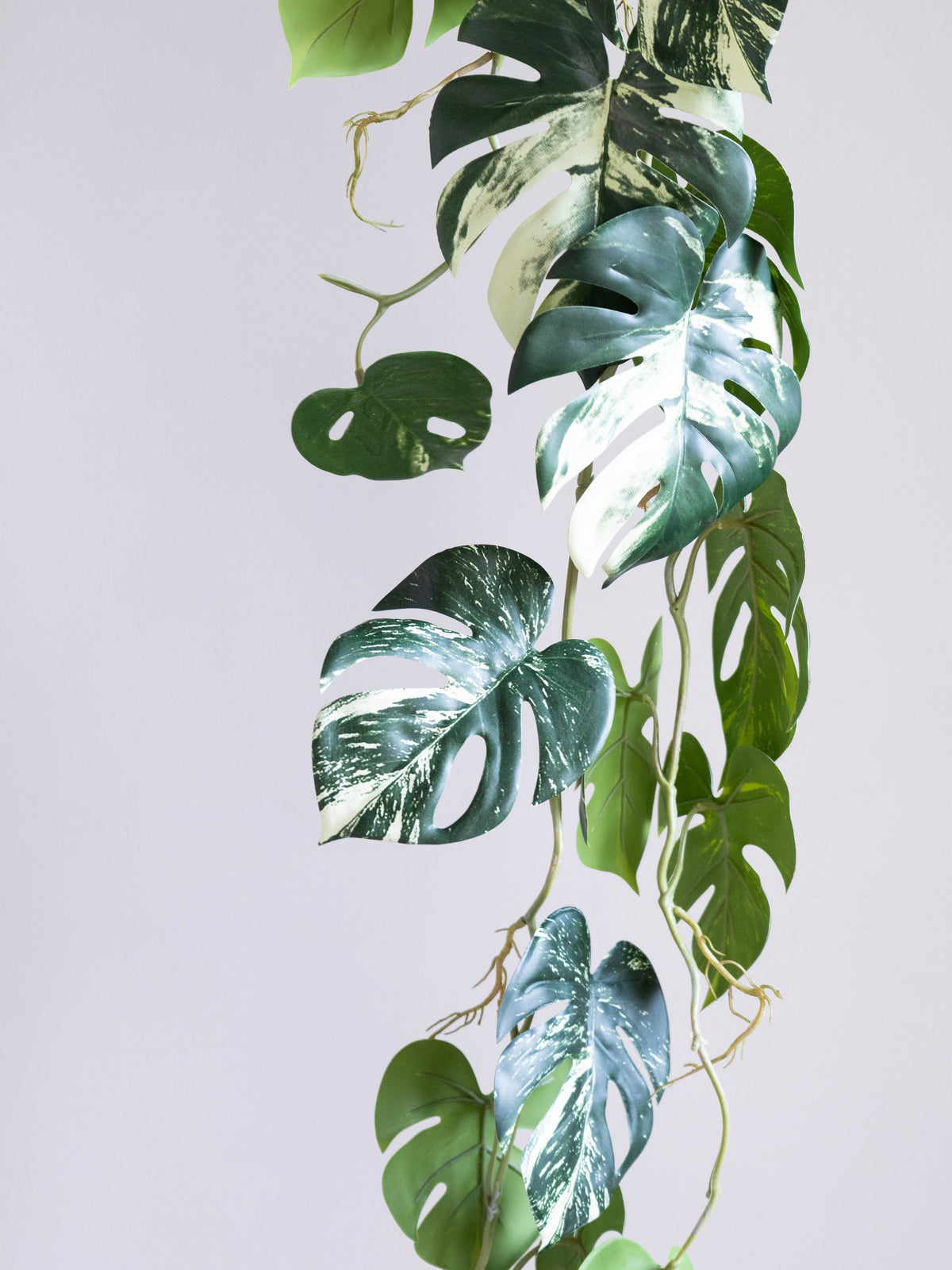 Artificial Variegated Monstera Hanging Vine 4ft