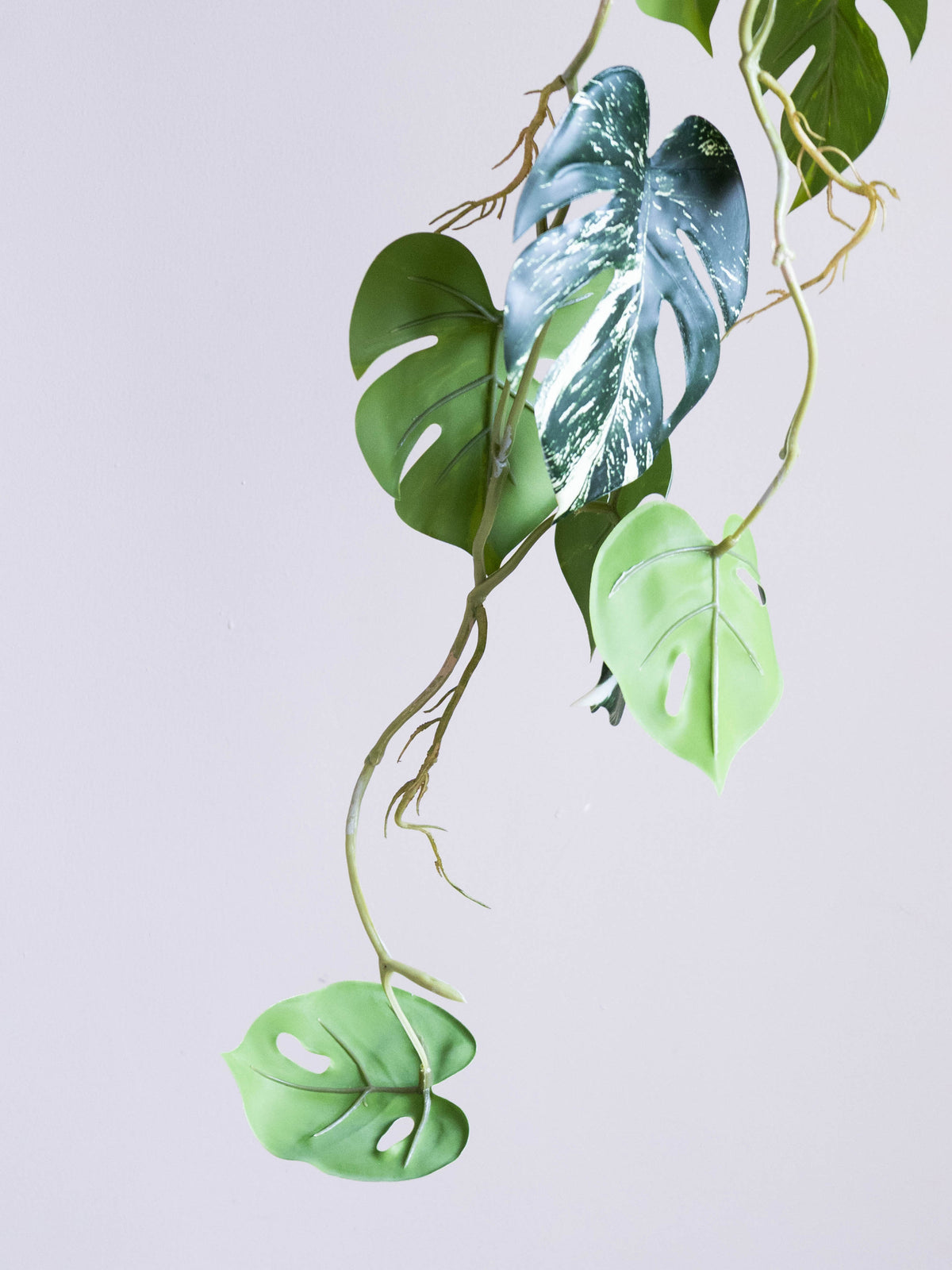 Artificial Variegated Monstera Hanging Vine 4ft