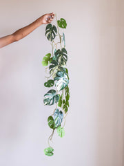 Artificial Variegated Monstera Hanging Vine 4ft