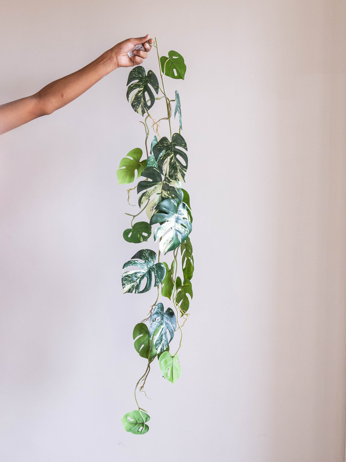 Artificial Variegated Monstera Hanging Vine 4ft
