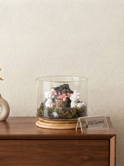 Enchanted Blush Glass Terrarium