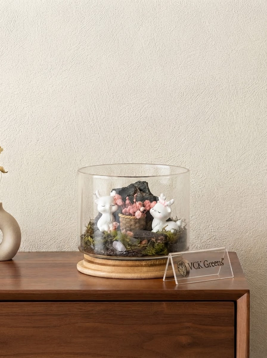 Enchanted Blush Glass Terrarium