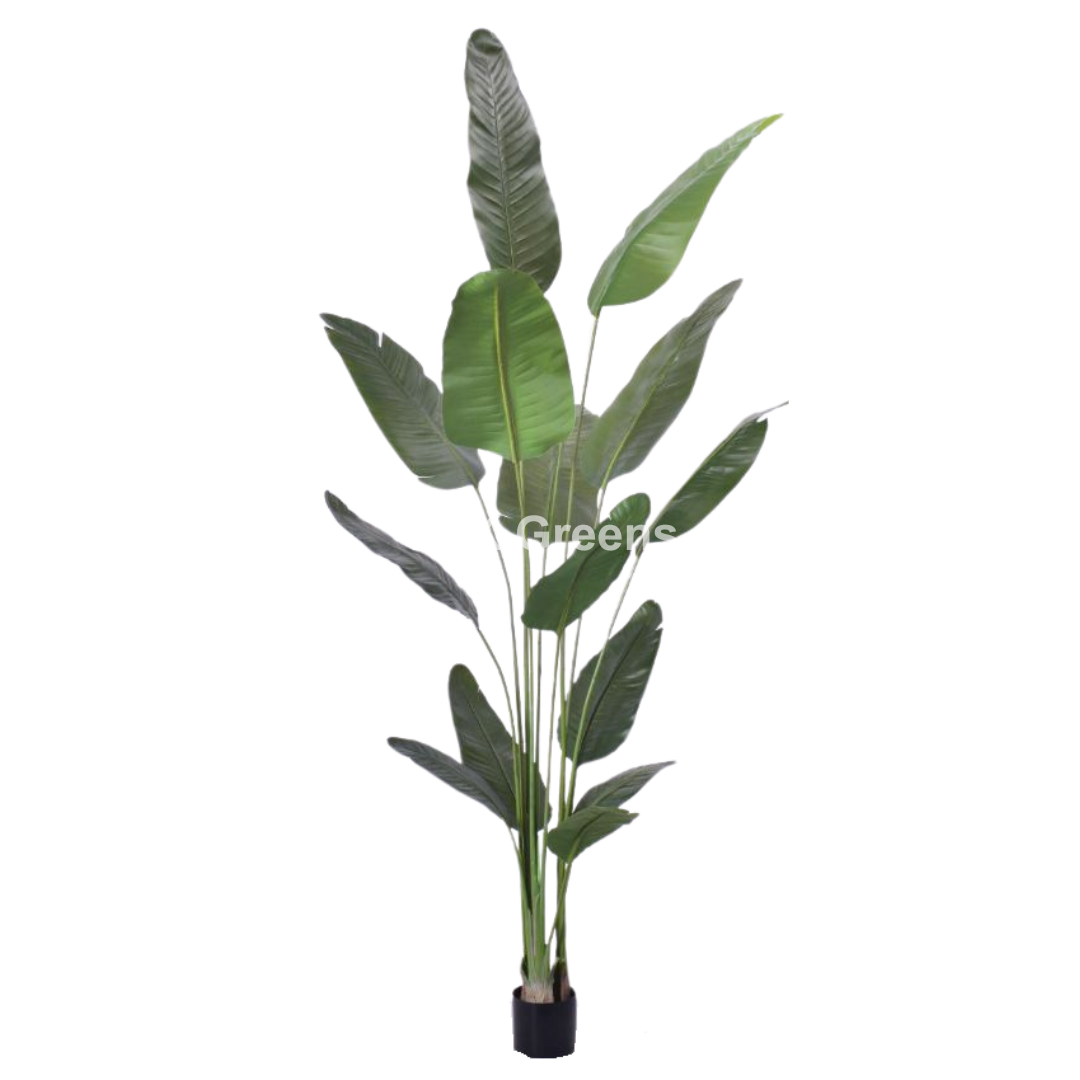 Artificial Travellers Banana Leaf Plant 8.3ft With Pot