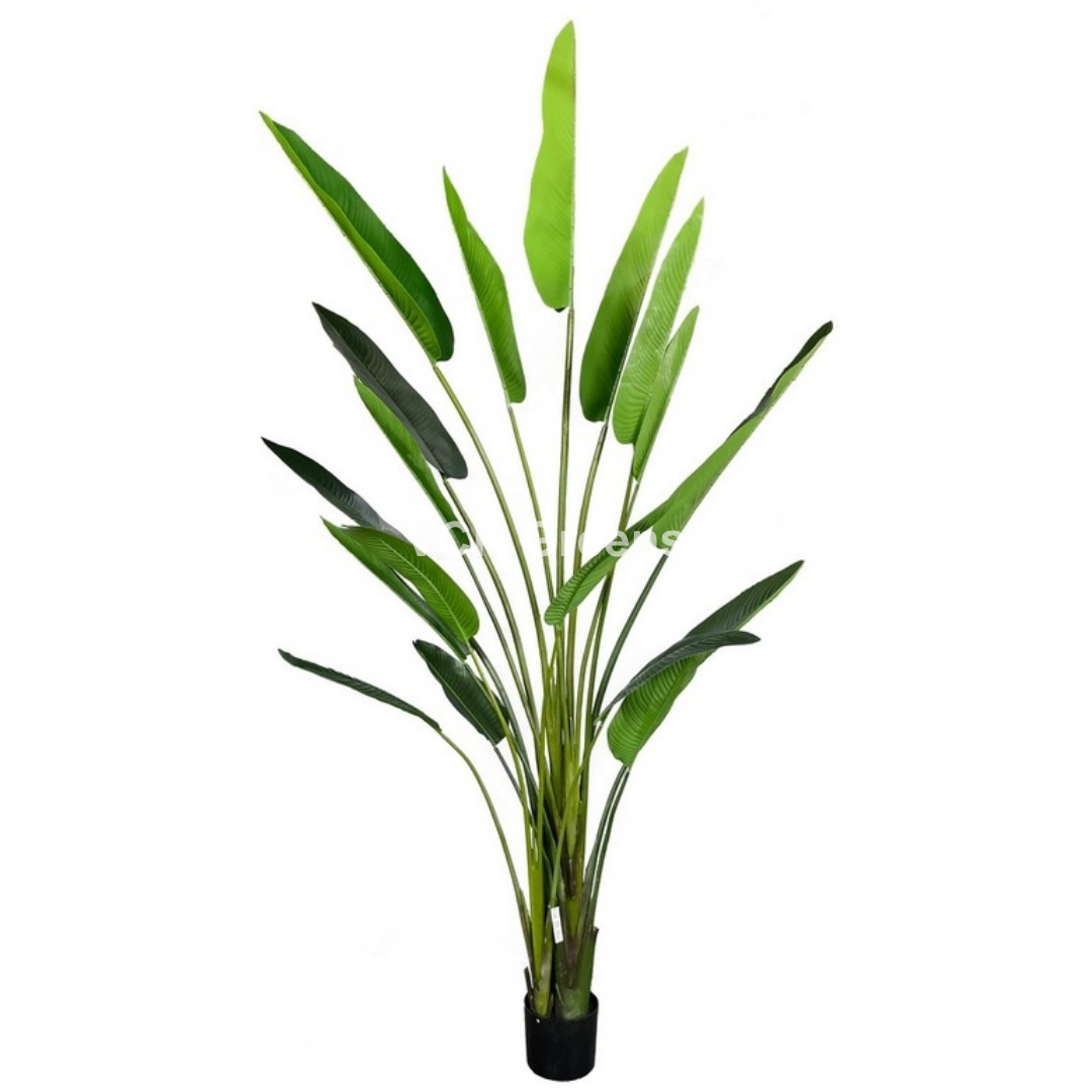 Artificial Jumbo Travellers Banana Leaf Plant 10ft With Pot