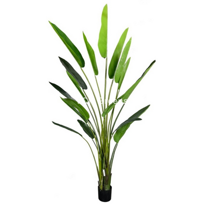 Artificial Jumbo Travellers Banana Leaf Plant 10ft With Pot