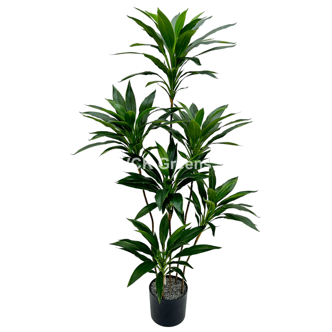 Artificial Dracaena Plant 5ft With Pot