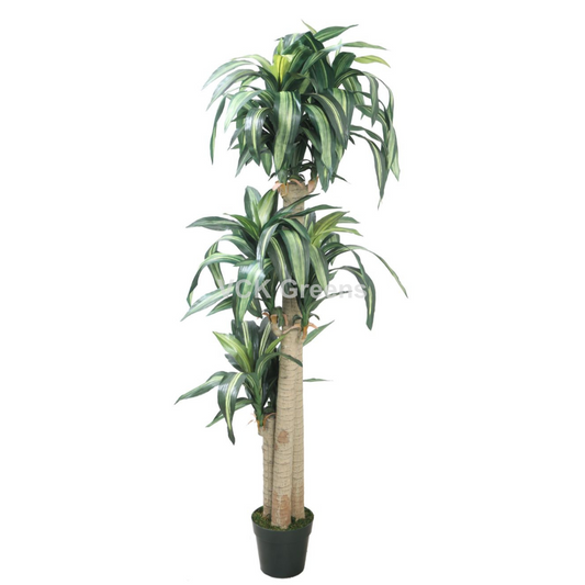 Artificial Dracaena Plants 5.8ft With Pot