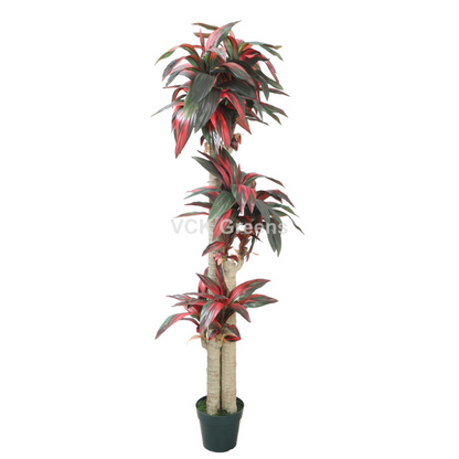 Artificial Dracaena Plants 5.8ft With Pot