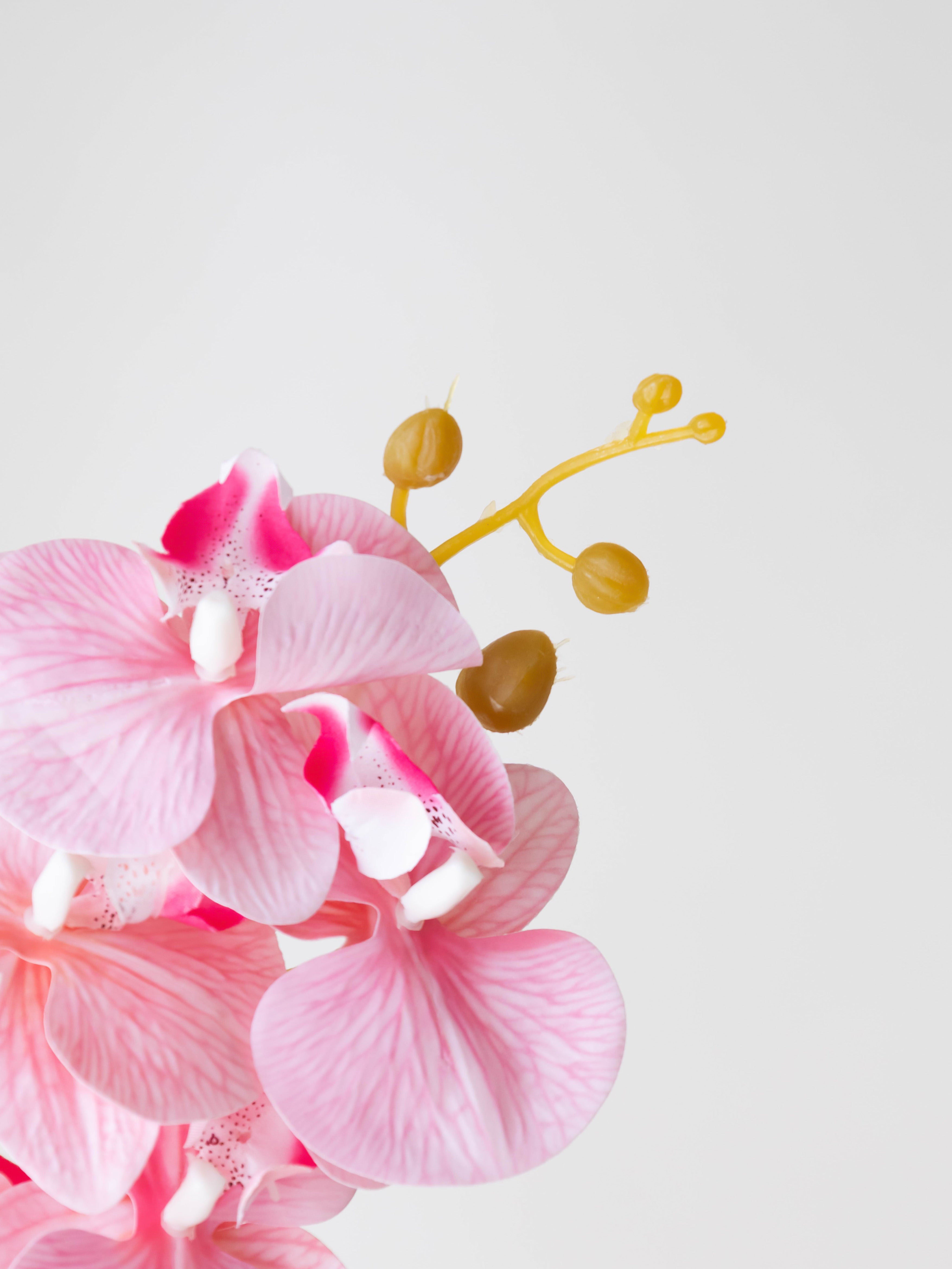 Artificial Pink Phalaenopsis Orchid Stem