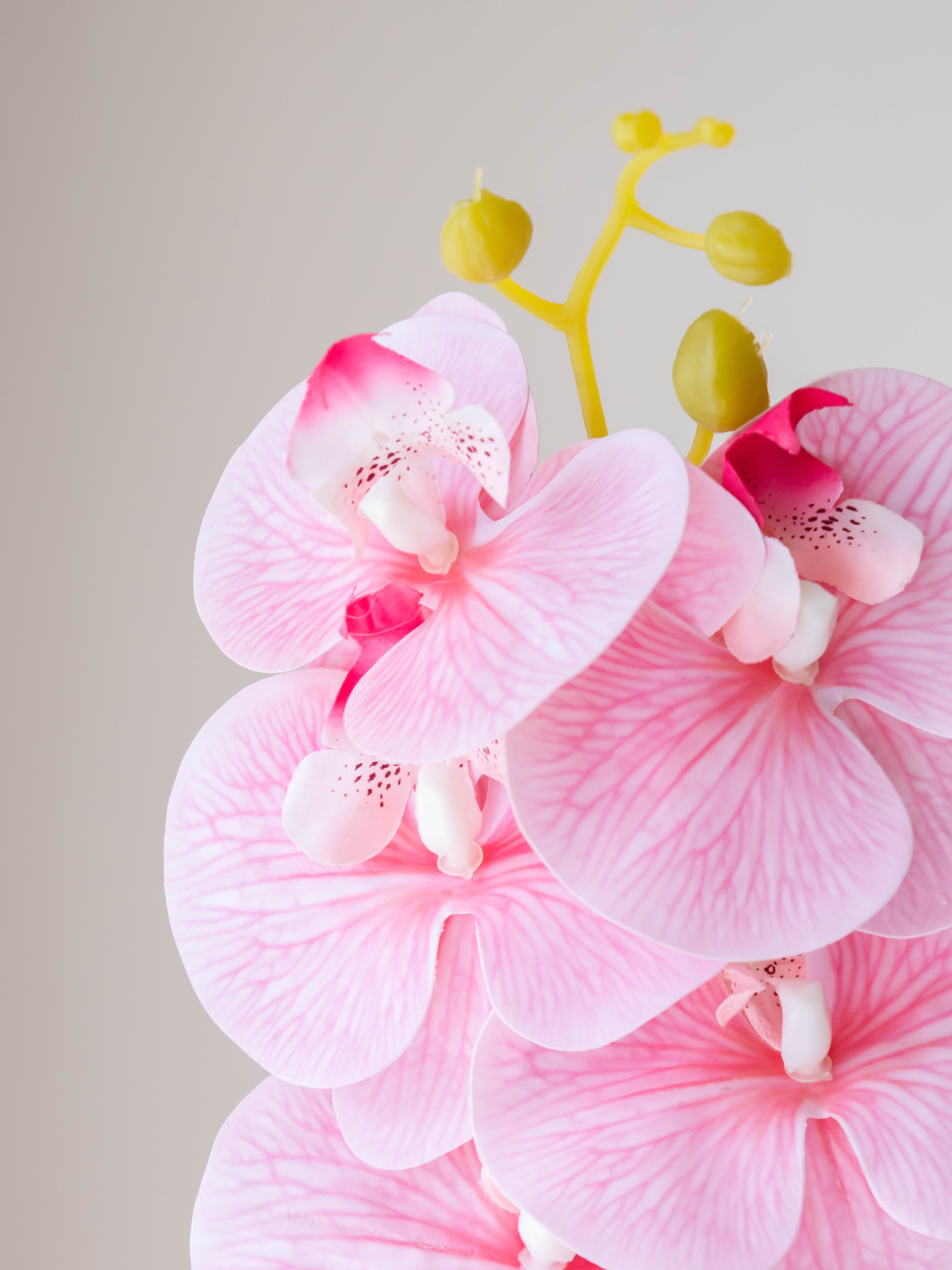 Artificial Pink Phalaenopsis Orchid Stem