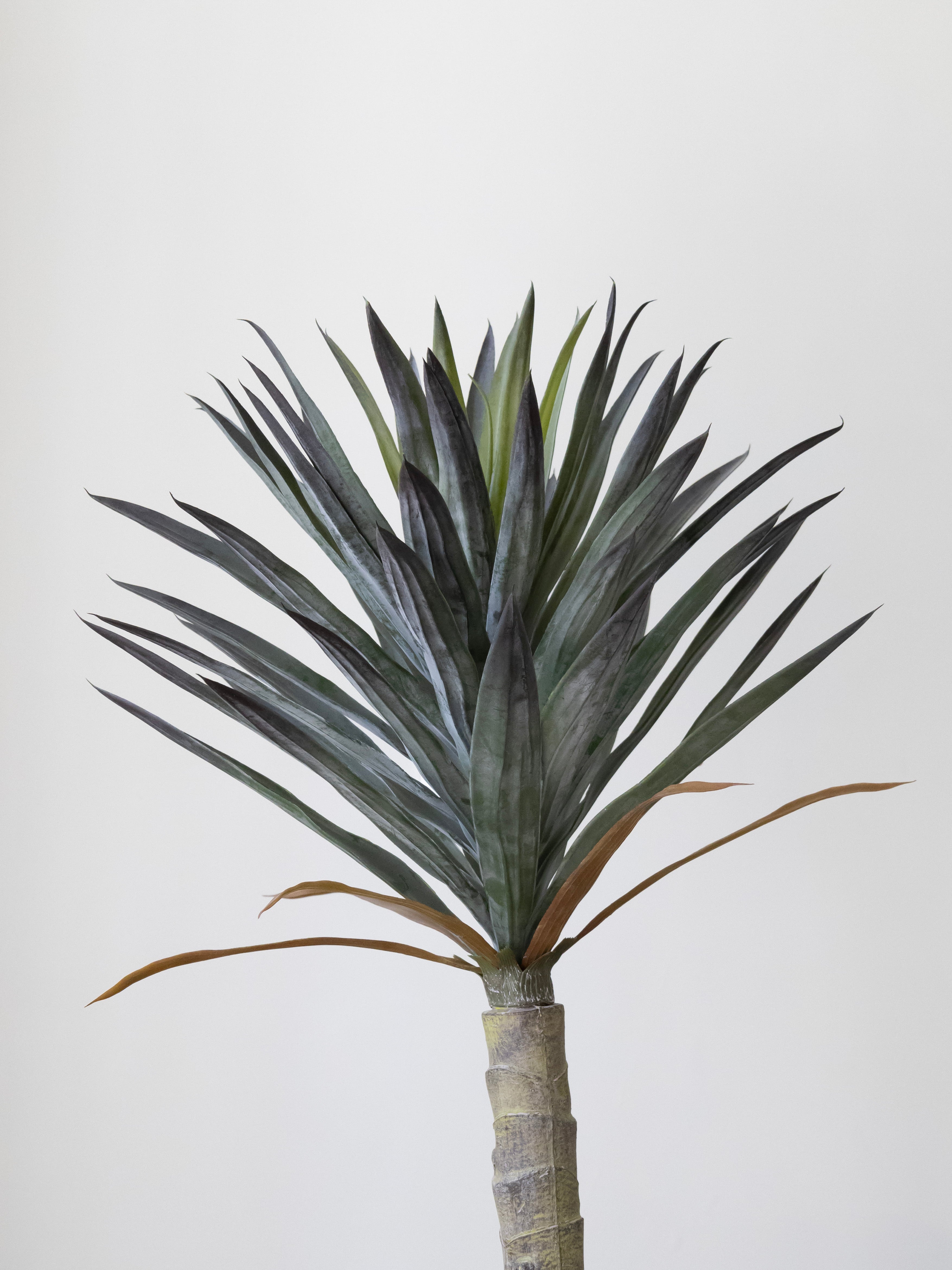 Artificial Yucca Real Touch Plant 3ft