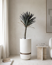 Artificial Yucca Real Touch Plant 3ft