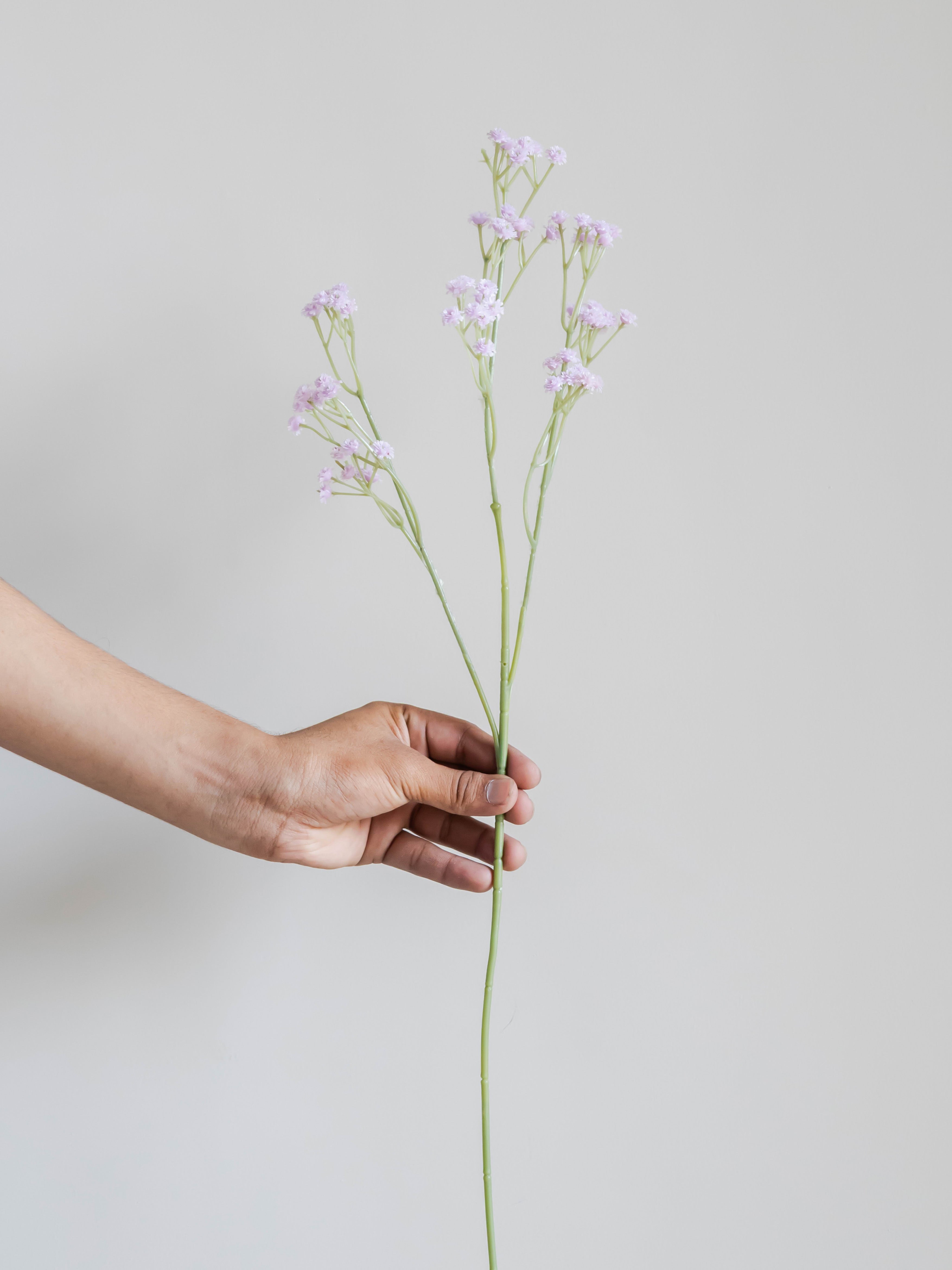 Artificial Gypsophila Flower Stick 52cm (Set of 5)
