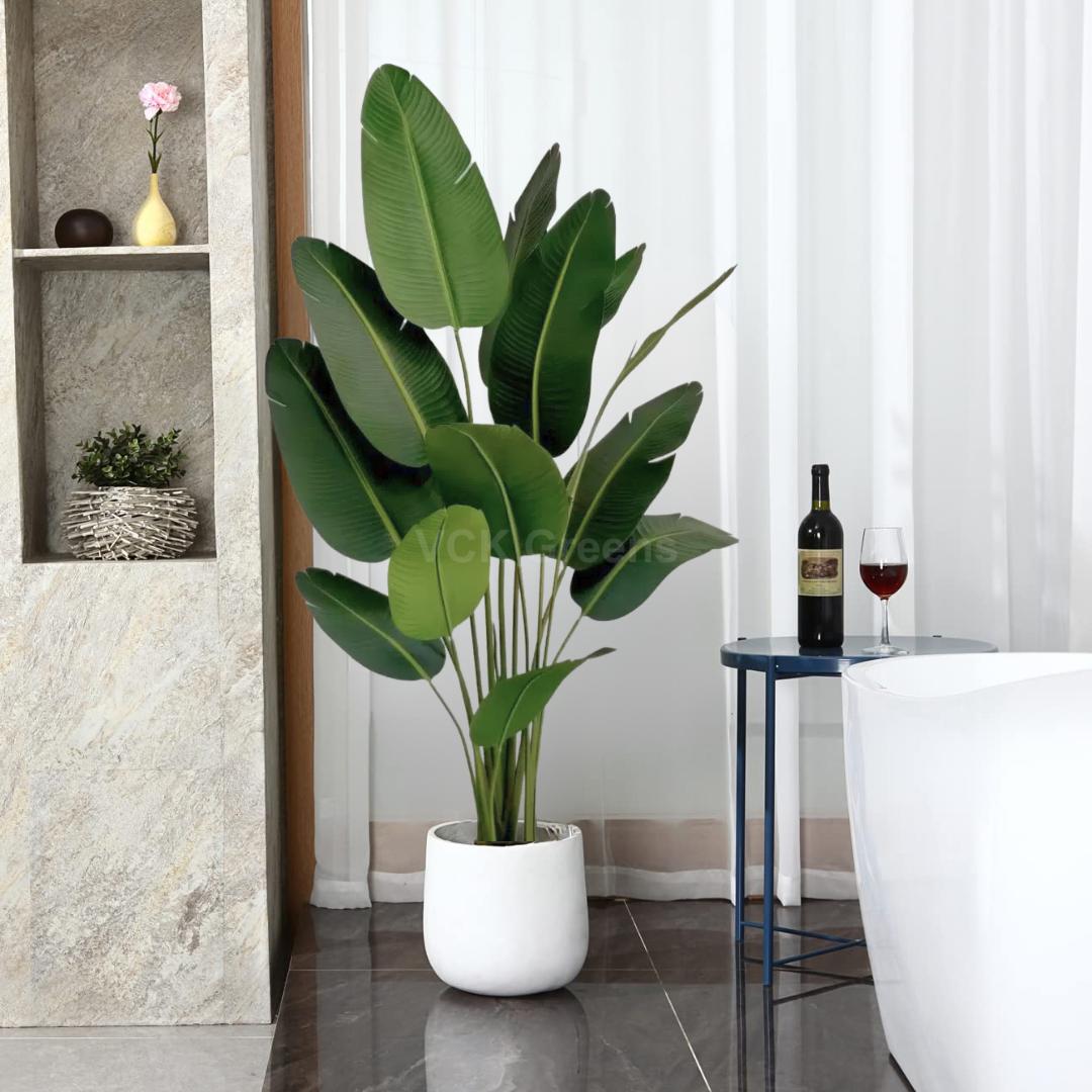 Vck Pot Travellers palm indoor 60 photos - Morilly.com