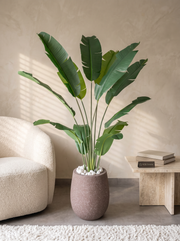 Artificial Traveller Banana Plant 6ft