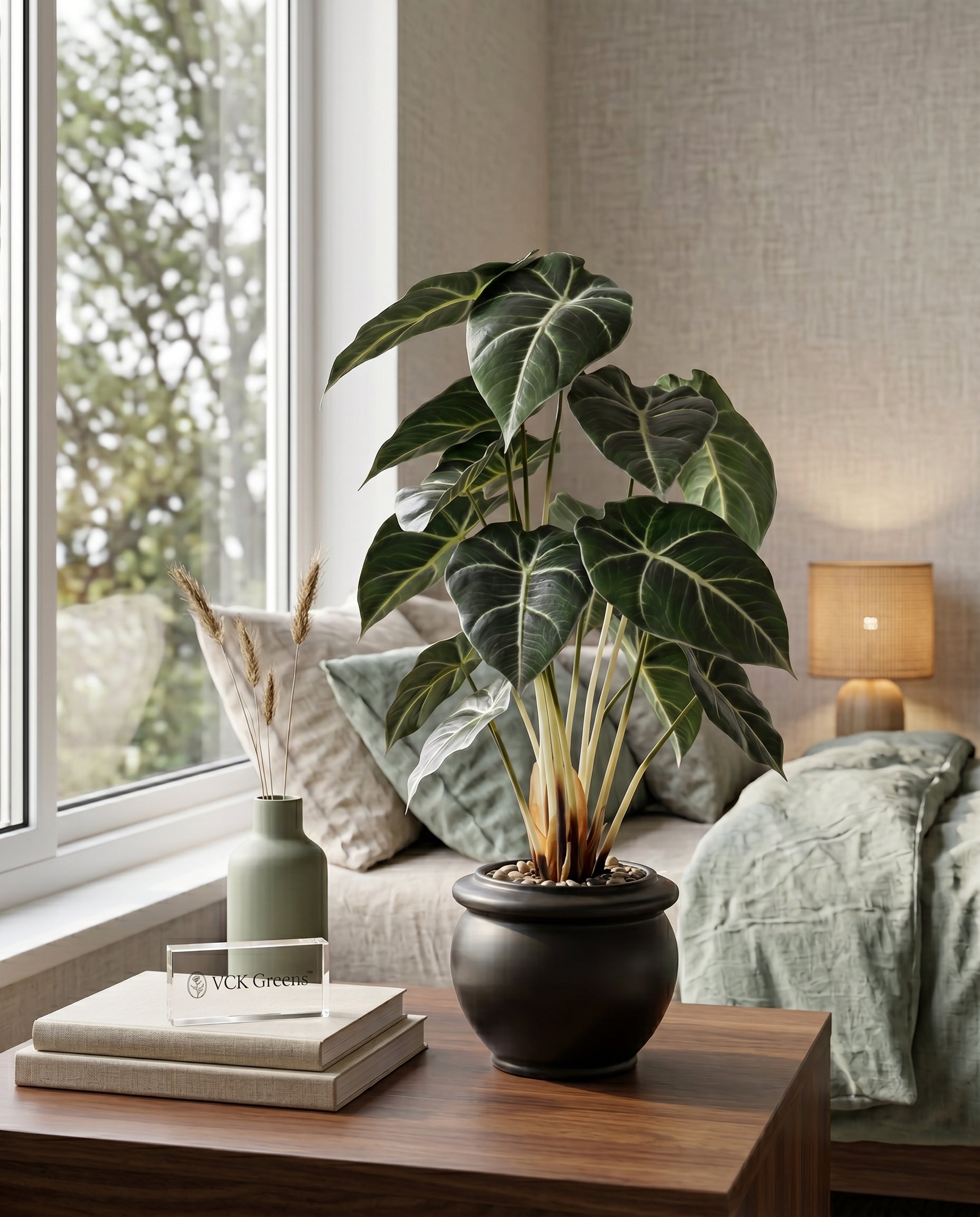 Artificial Alocasia Leaf Bonsai 2ft