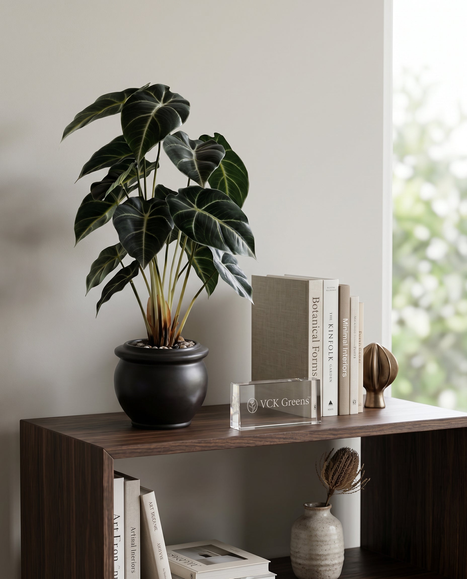 Artificial Alocasia Leaf Bonsai 2ft