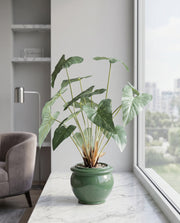 Artificial Tropical Alocasia Leaf Bonsai 2ft