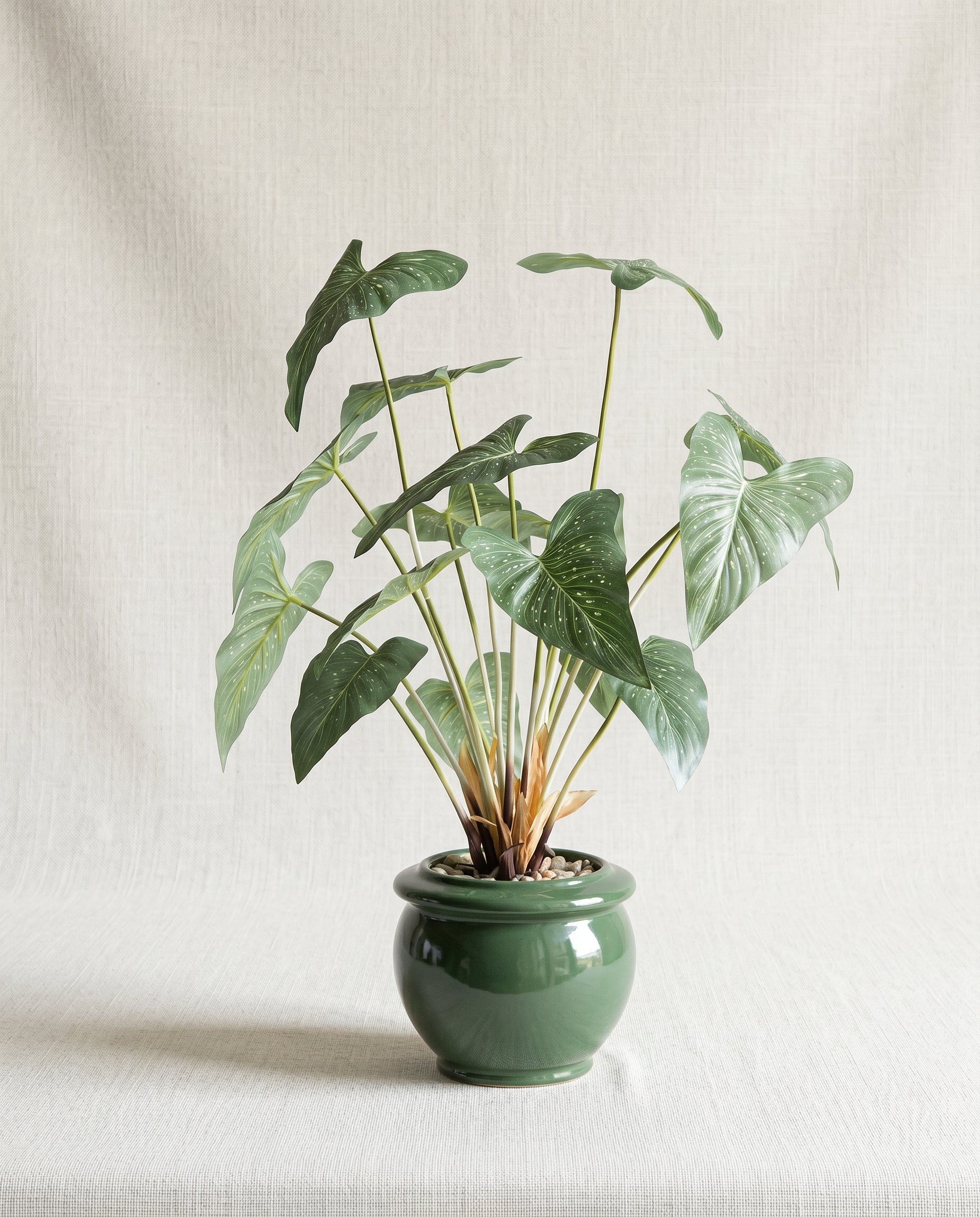 Artificial Tropical Alocasia Leaf Bonsai 2ft