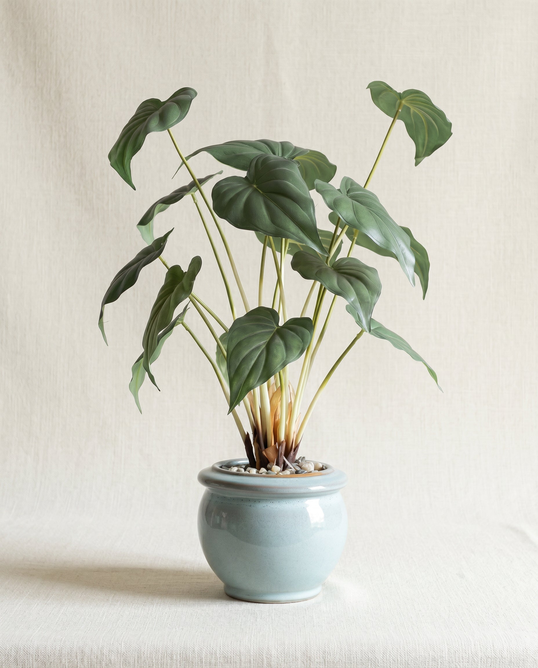Artificial Green Leaf Bonsai 2ft
