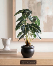 Artificial Alocasia Leaf Bonsai 2ft
