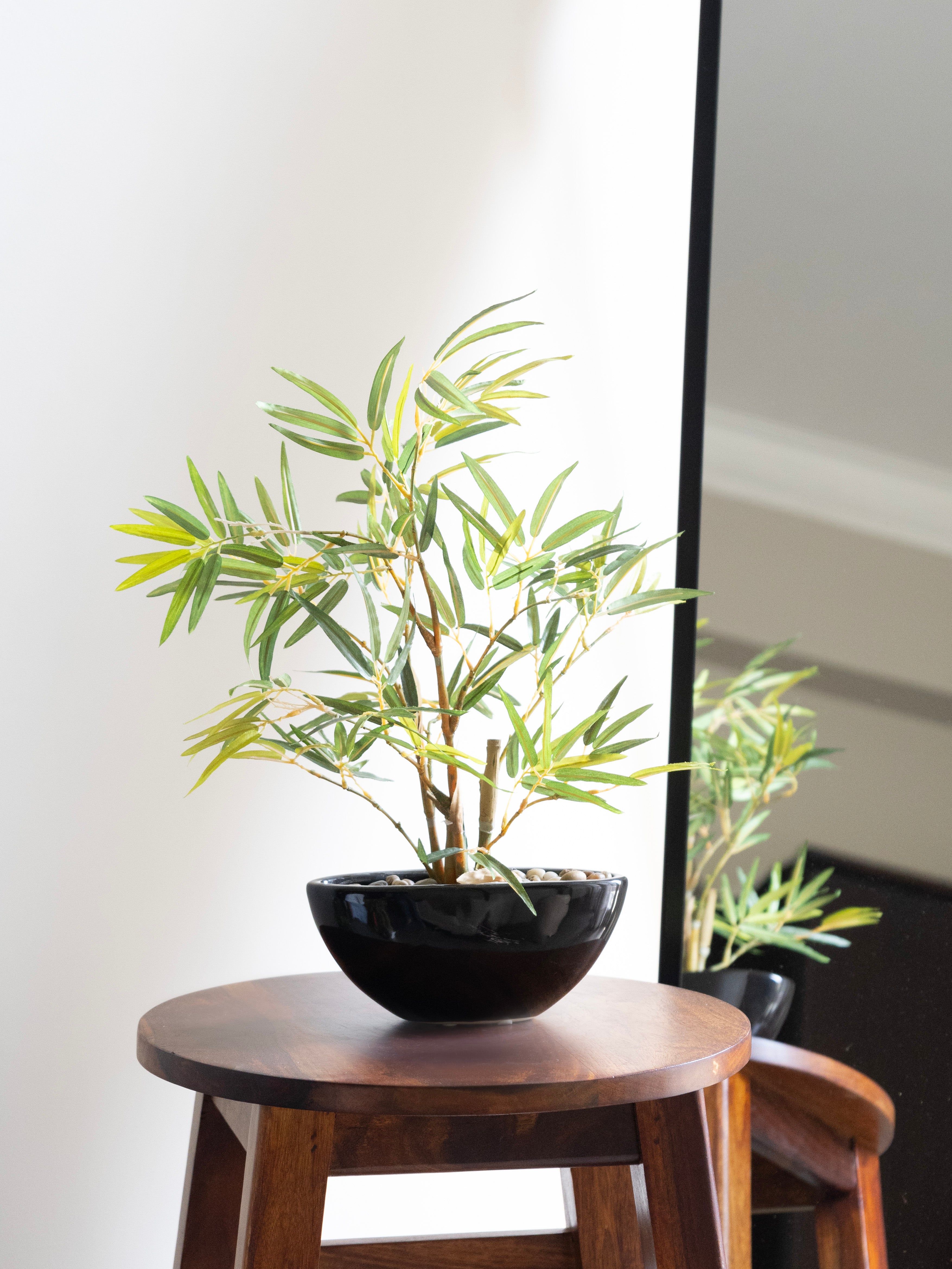 Artificial Bamboo Leaves Bonsai 1.3ft