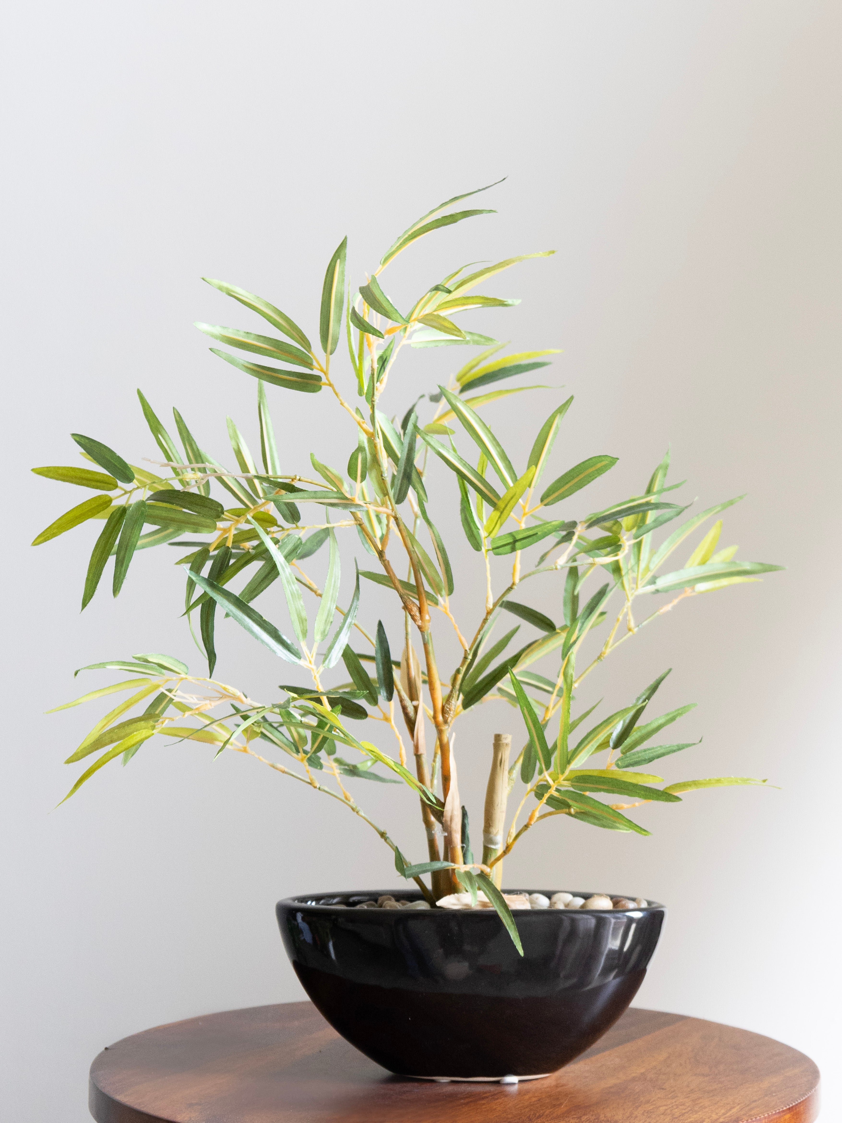 Artificial Bamboo Leaves Bonsai 1.3ft