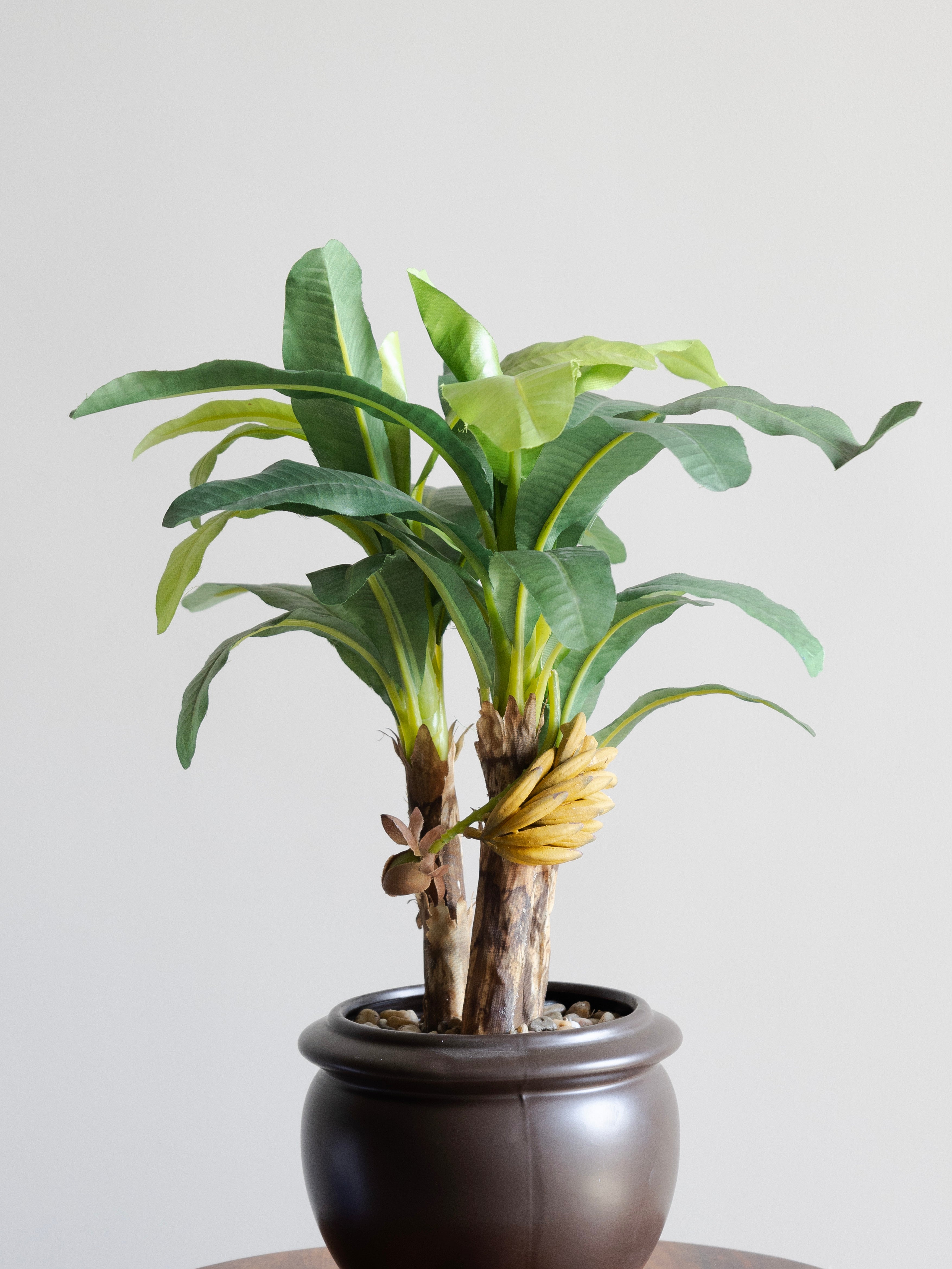 bonsai banana tree Artificial Banana Leaves Bonsai 1.6 Feet – VCK Greens