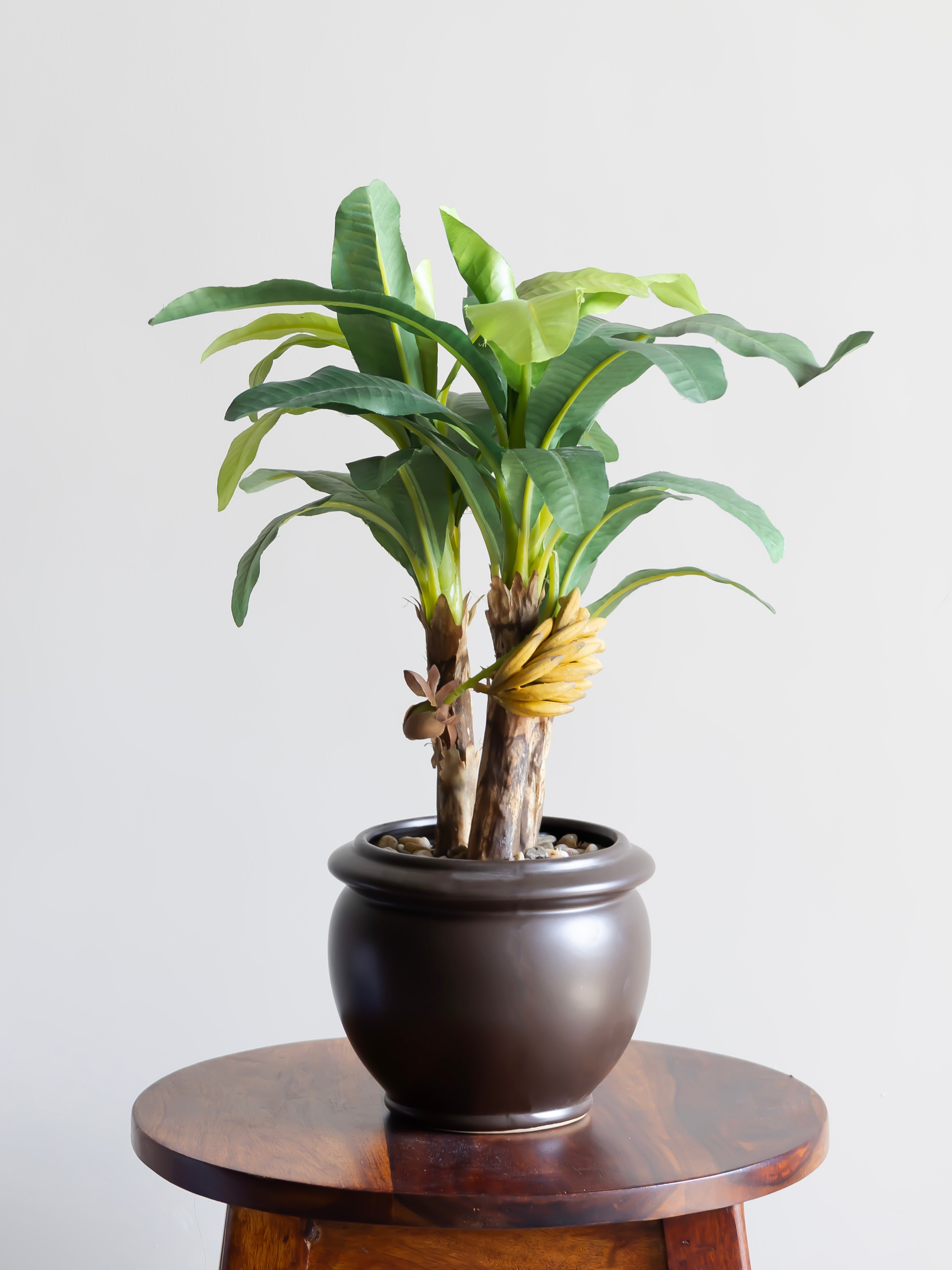 Artificial Banana Leaves Bonsai 1.6 Feet