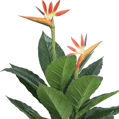 Artificial Birds of Paradise Flower Plant 3.3ft With Pot