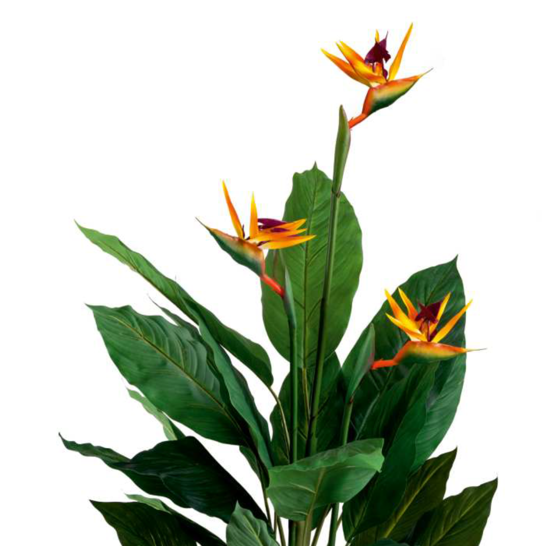 Artificial Bird of Paradise Flower Plant 5ft With Pot