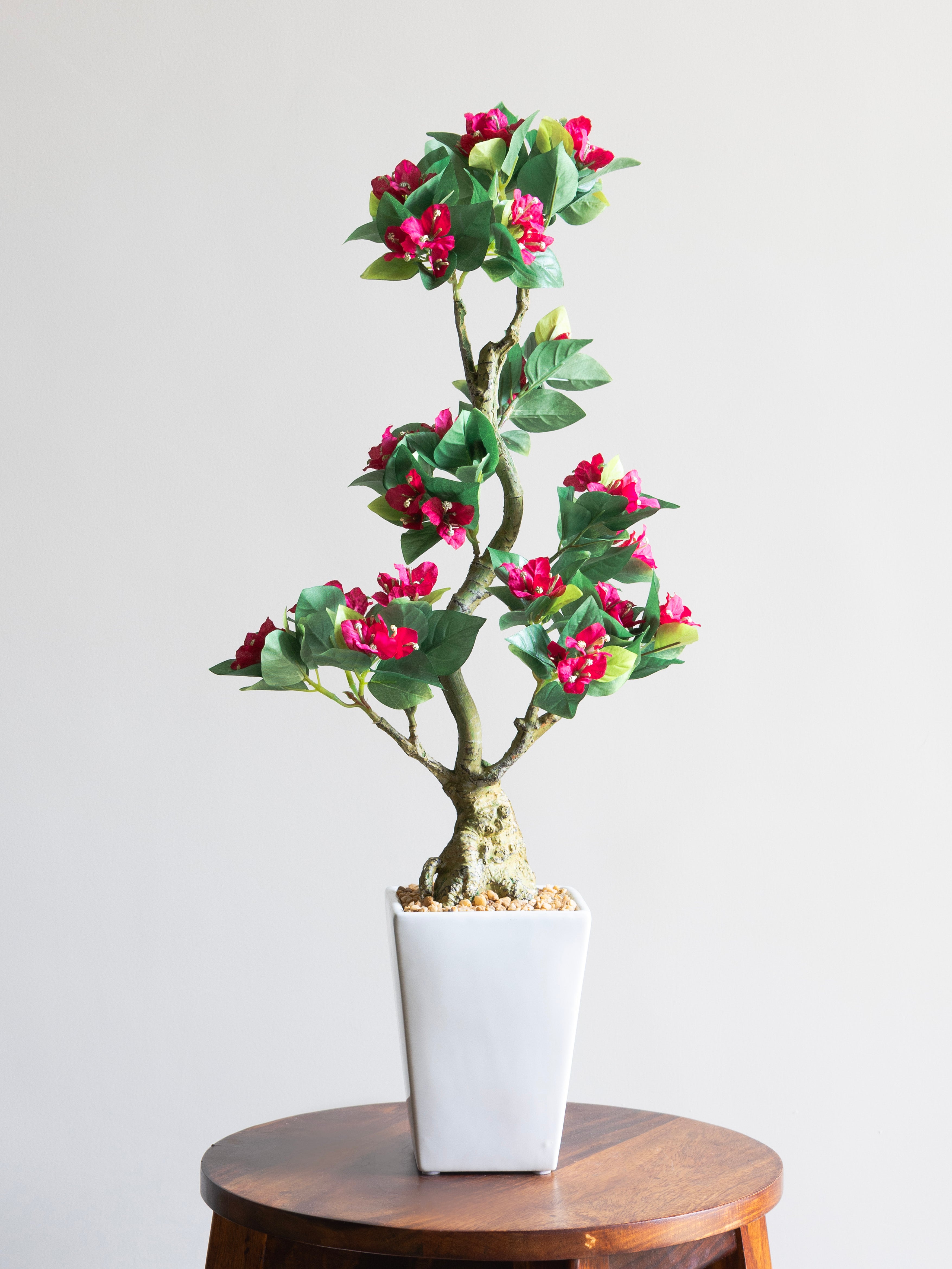 Artificial Bougainvillea Bonsai 2ft