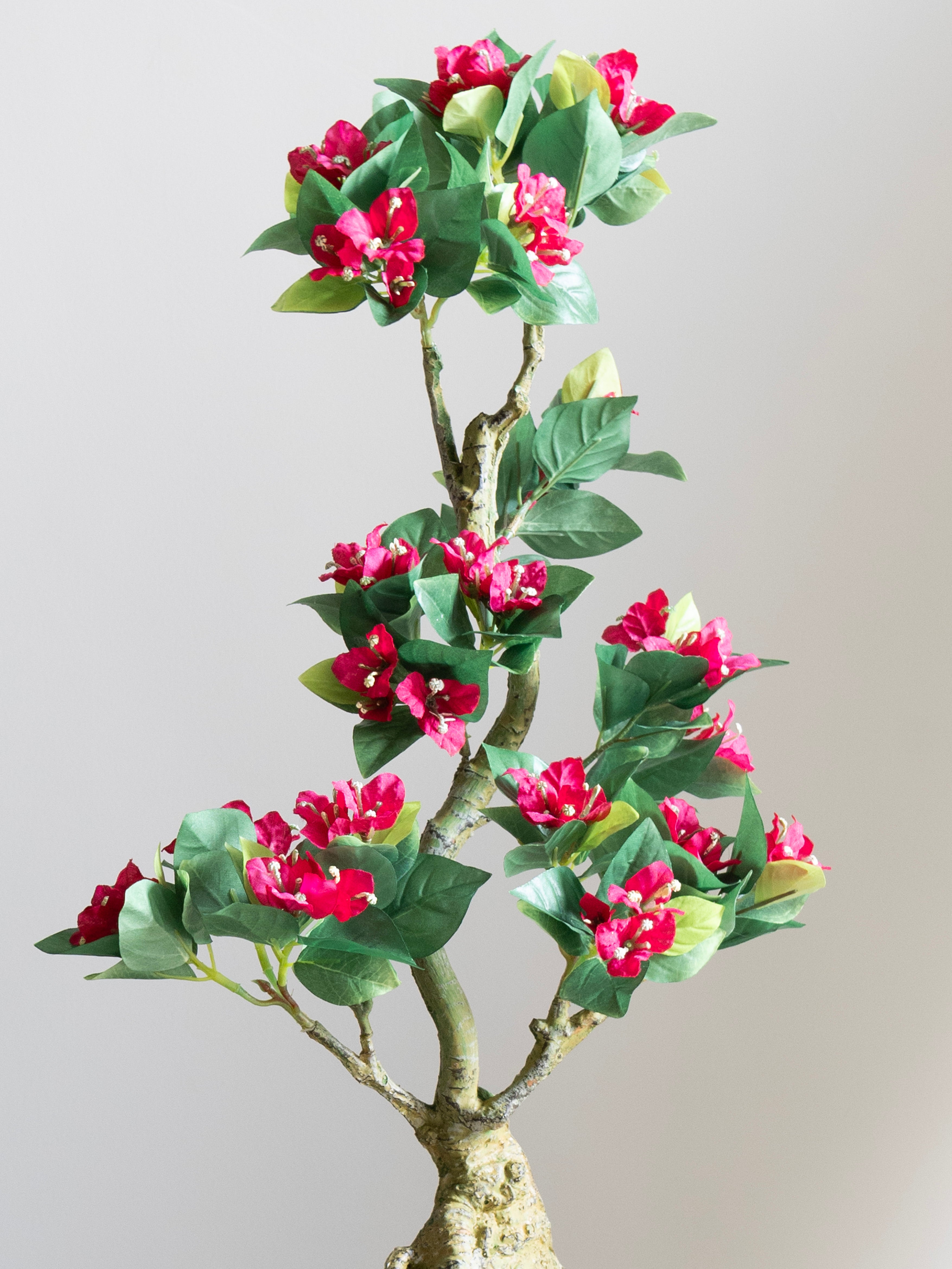 Artificial Bougainvillea Bonsai 2ft