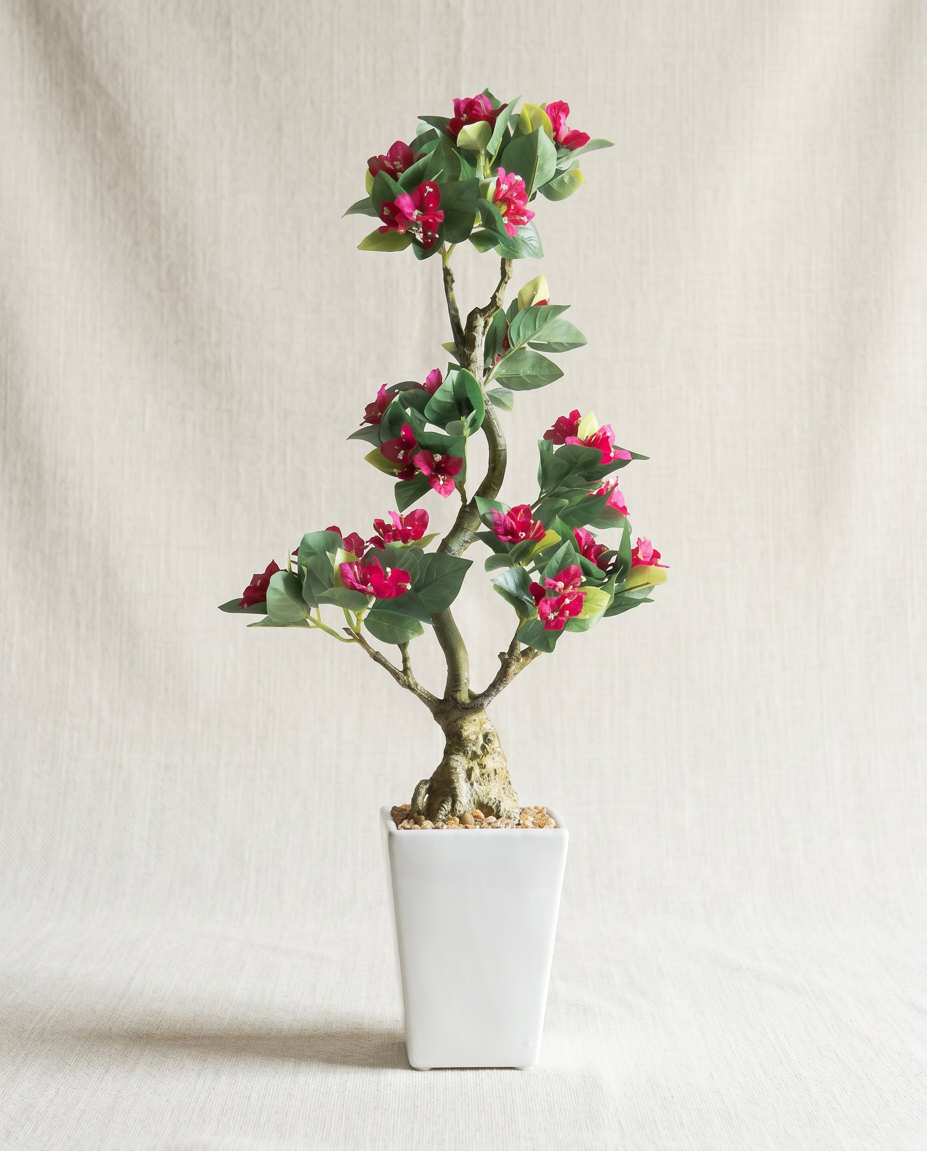 Artificial Bougainvillea Bonsai 2ft