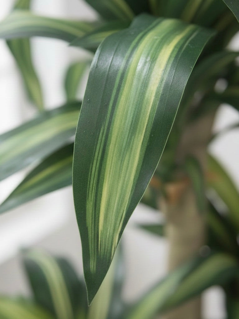 Artificial Dracaena Plants 5.8ft