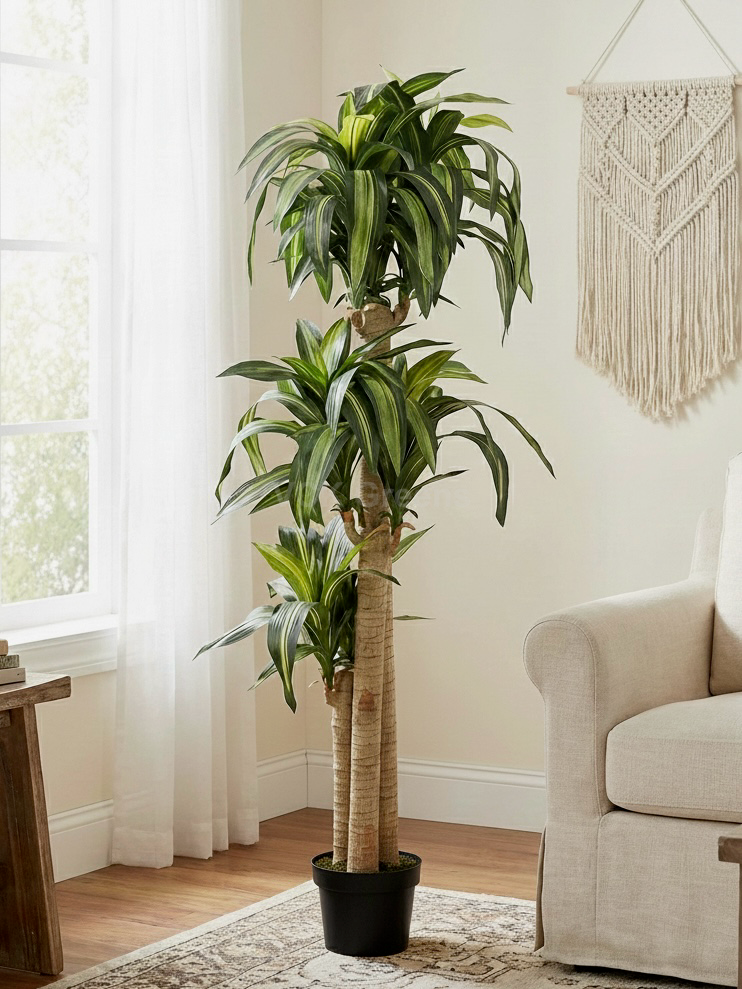 Artificial Dracaena Plants 5.8ft