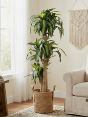 Artificial Dracaena Plants 5.8ft