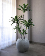 artificial-green-dracaena-plant-5ft