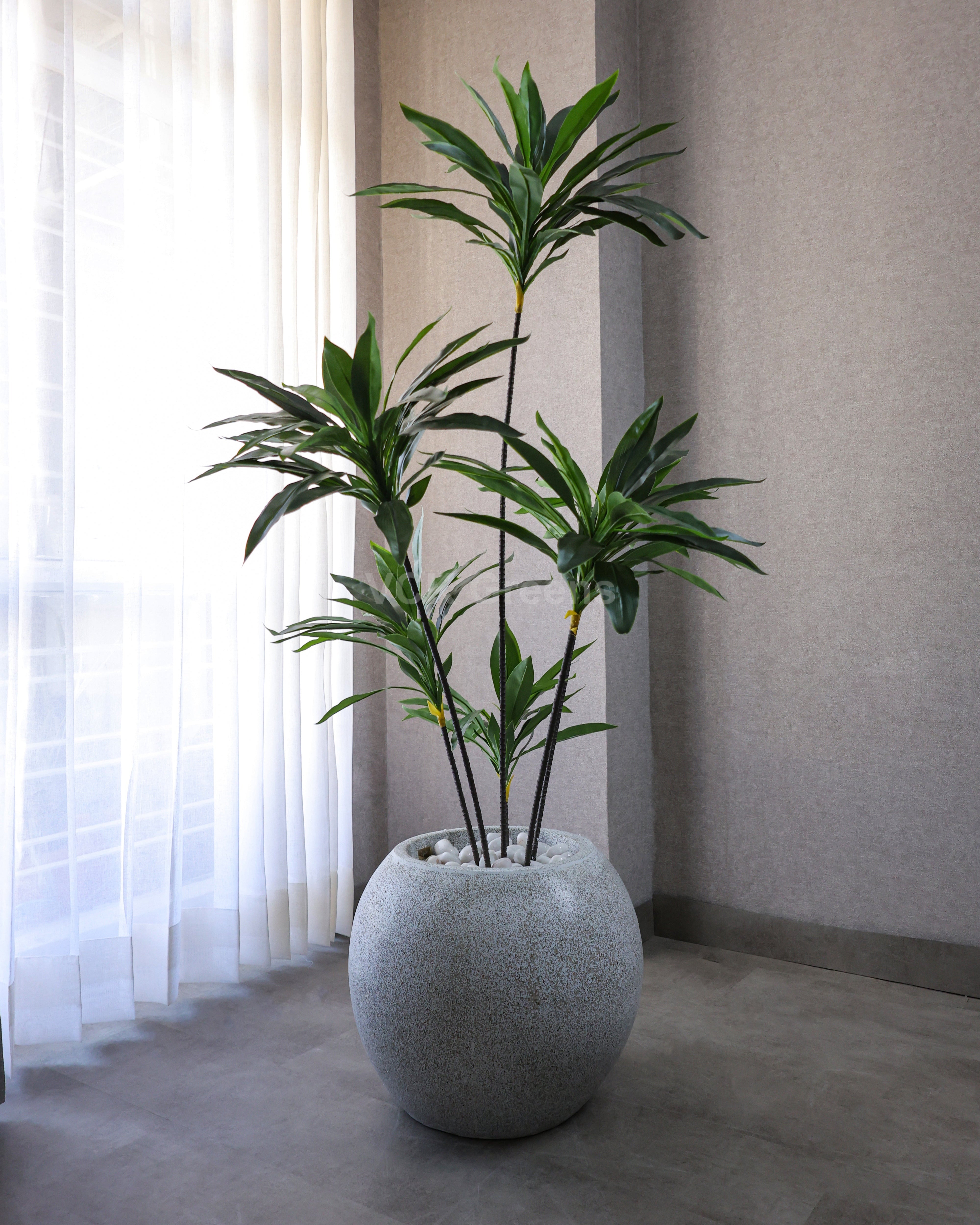 artificial-green-dracaena-plant-5ft