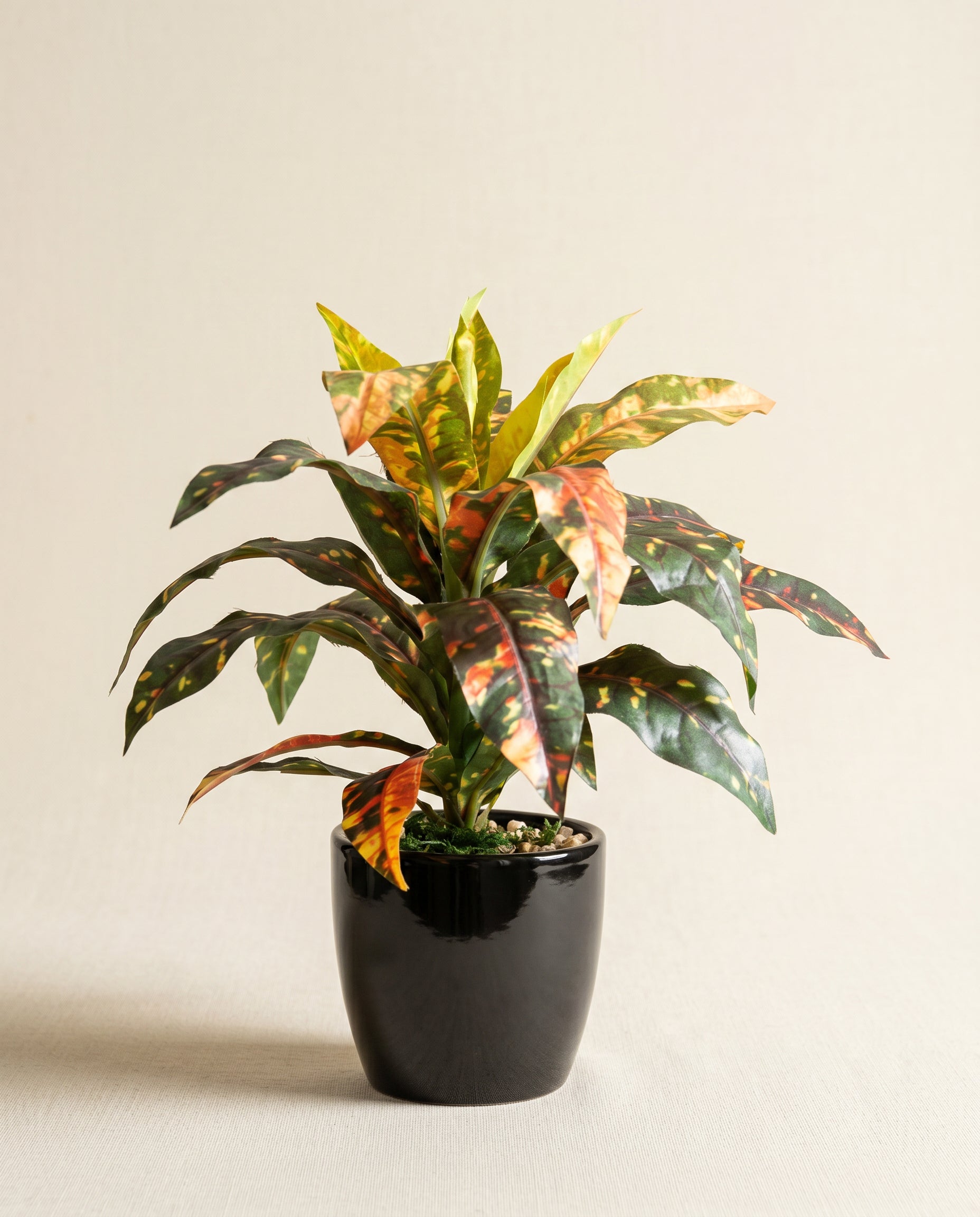 Artificial Croton Leaf Bonsai 24cm
