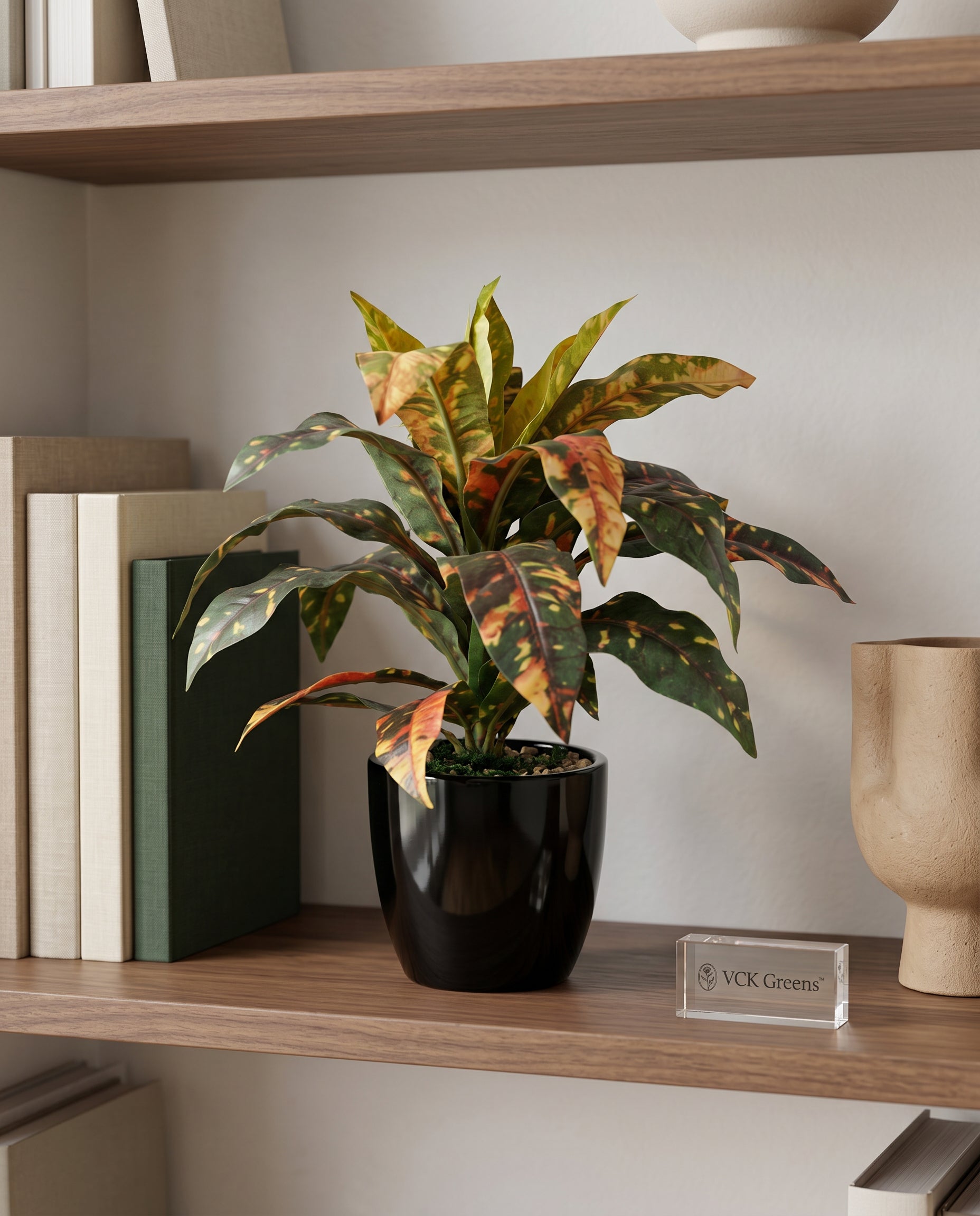 Artificial Croton Leaf Bonsai 24cm