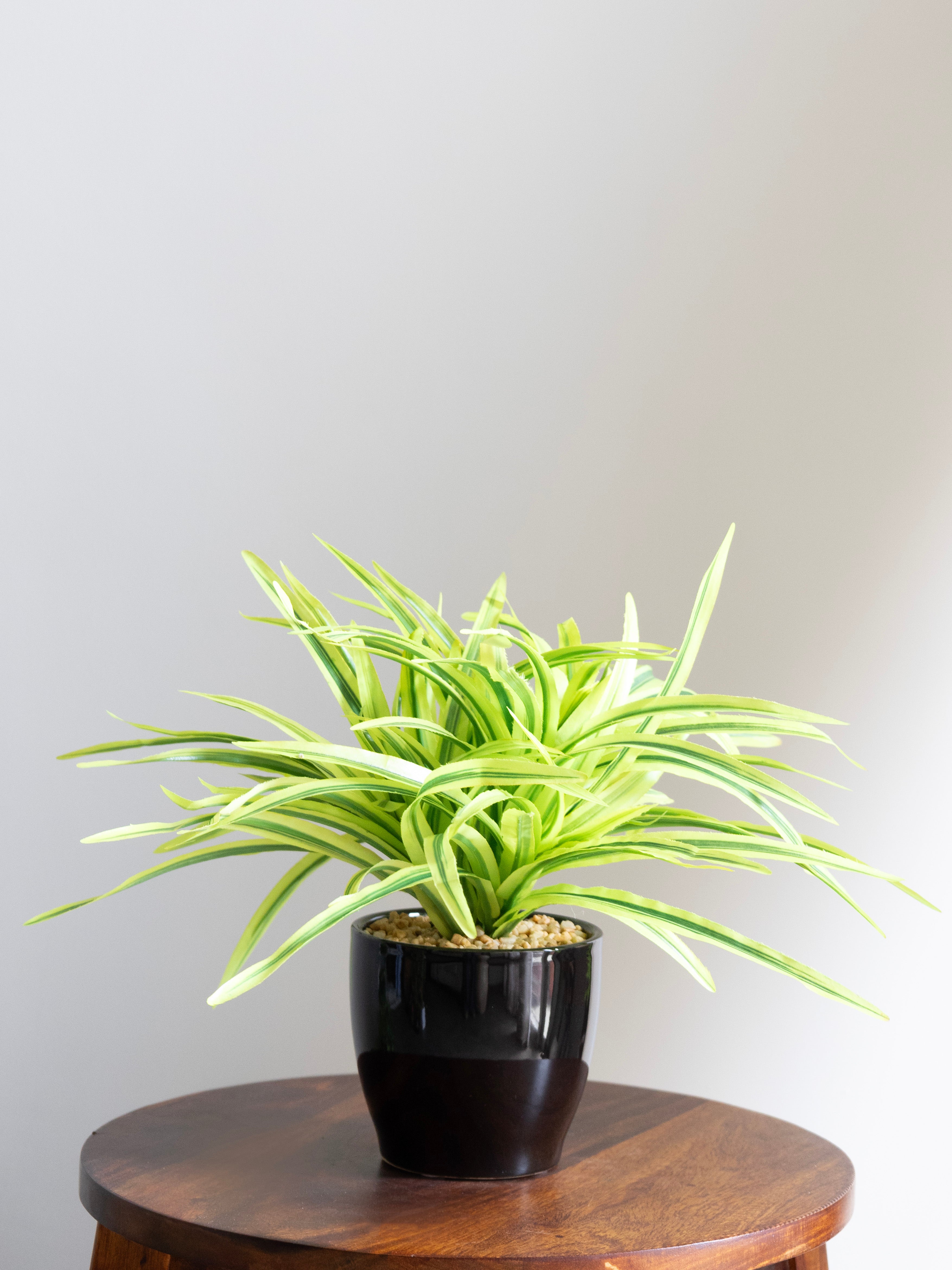 Artificial Spider Leaves Bonsai 27cm