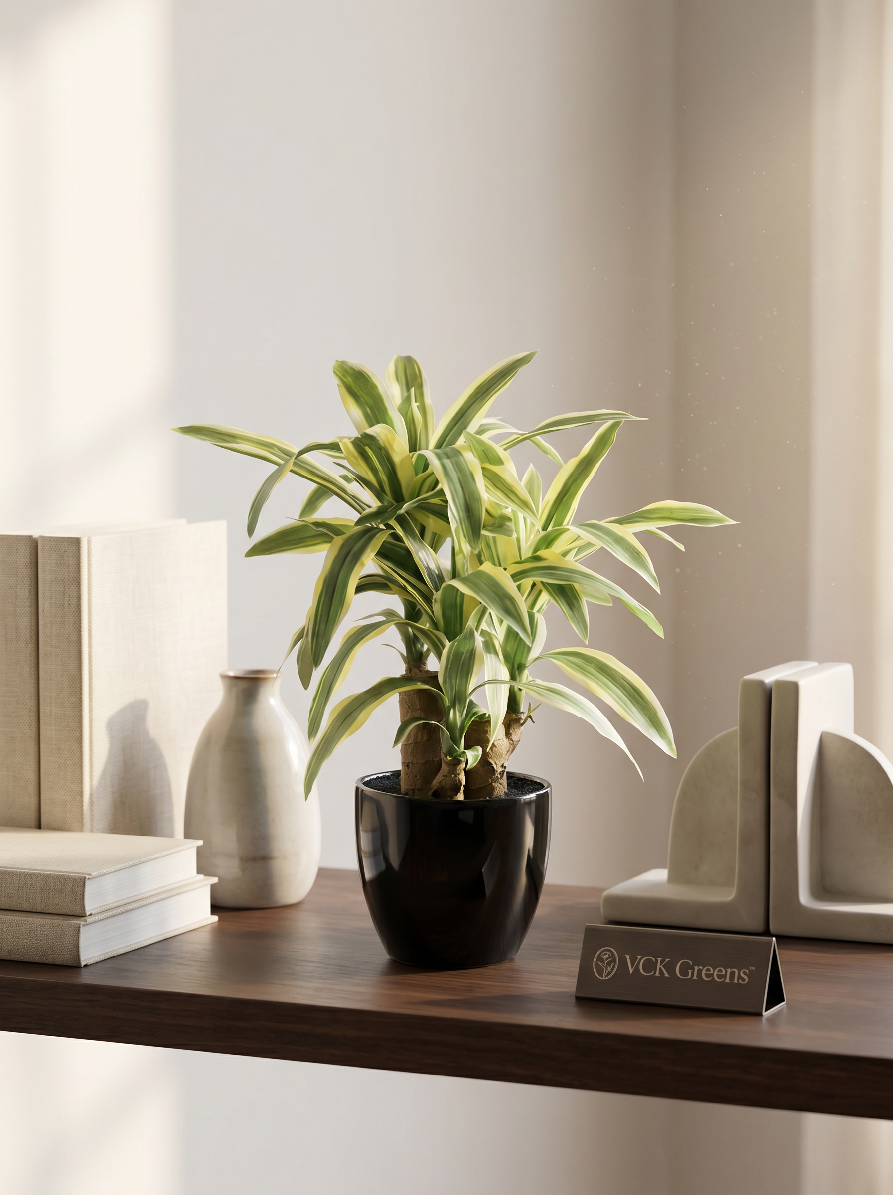 Artificial Dracaena Plant Bonsai 1.2ft
