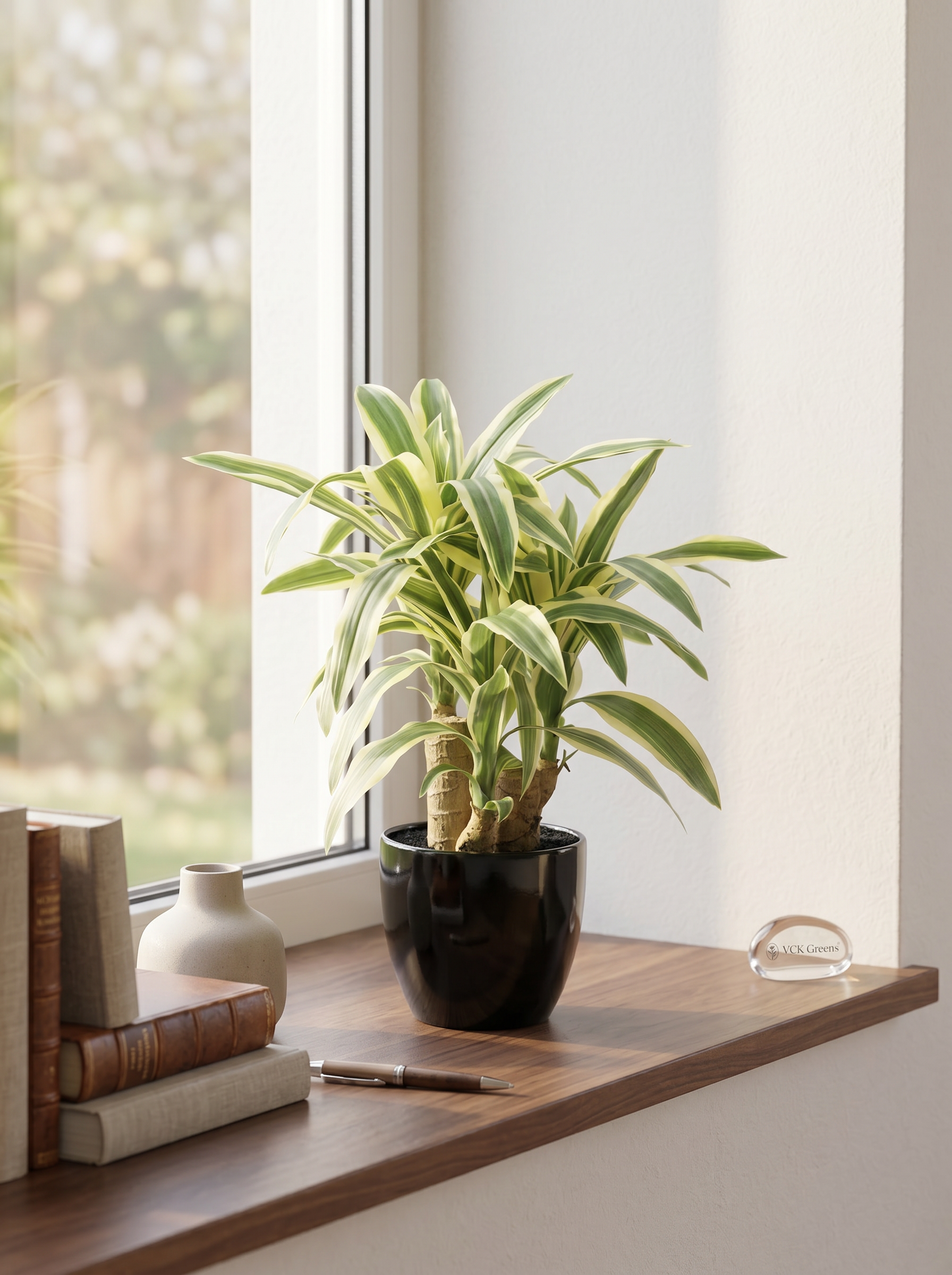 Artificial Dracaena Plant Bonsai 1.2ft